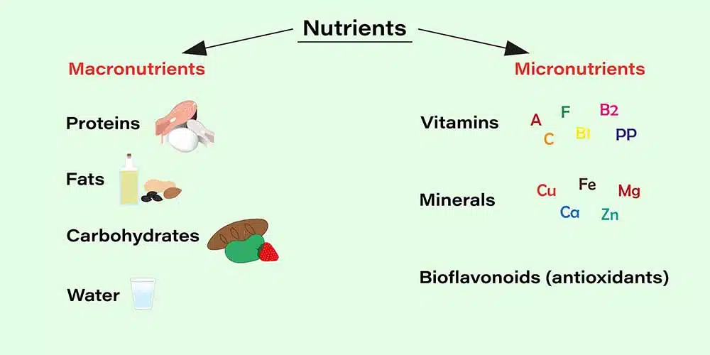 macro vs micronutrients
