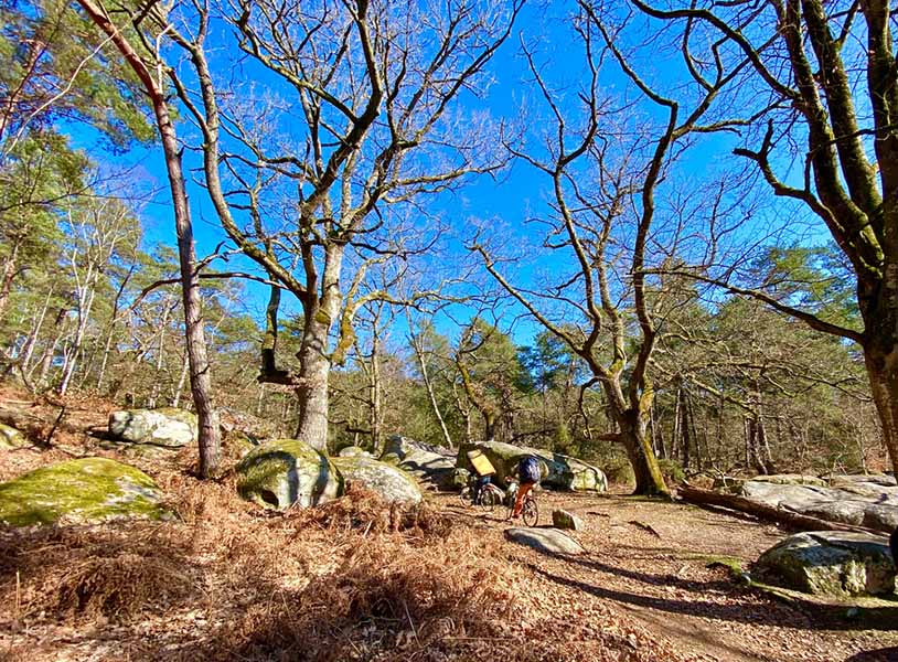 climbers in fontainebleu forest