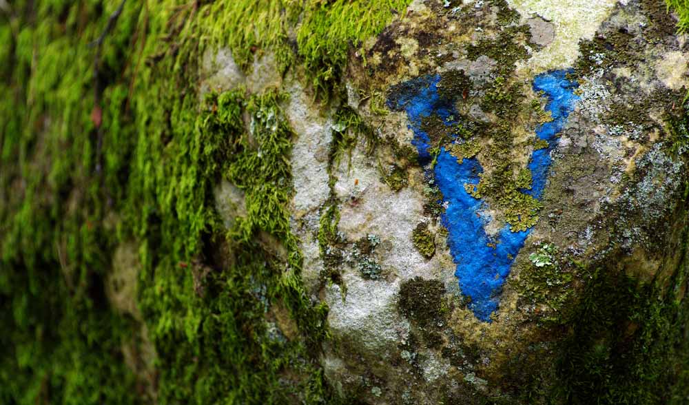 fontainbleu bouldering colours