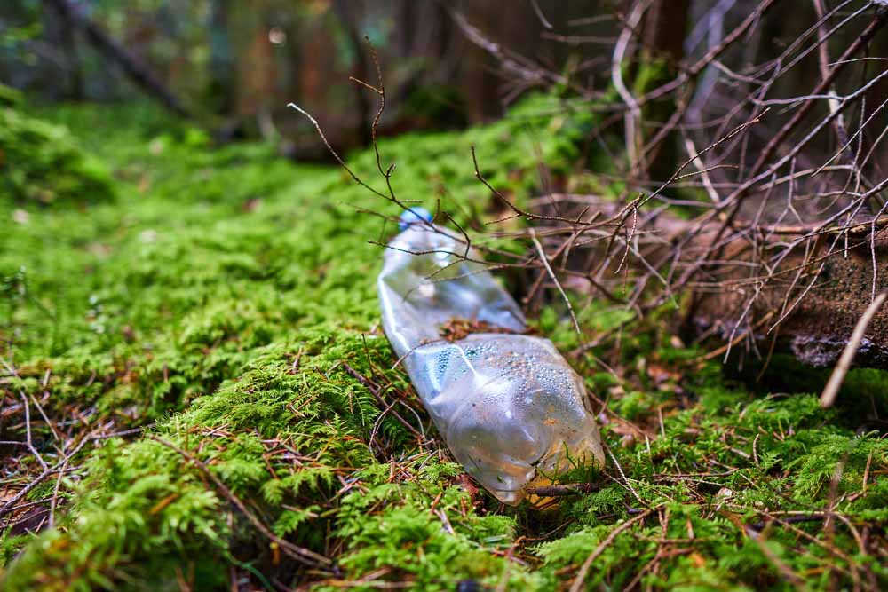 rubbish plastic bottle in woods