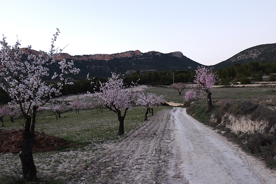 cliffs for climbing in costa blanca