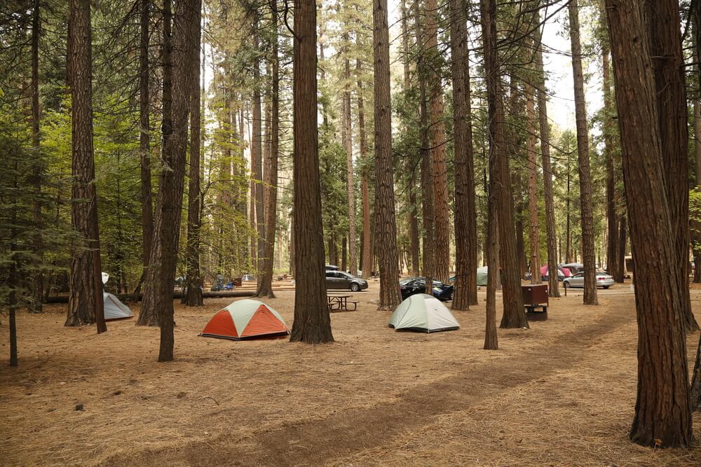 camping tents in yosemite