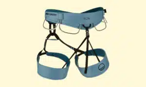 wild country flow 2 harness from behind