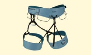 wild country flow 2 harness from behind